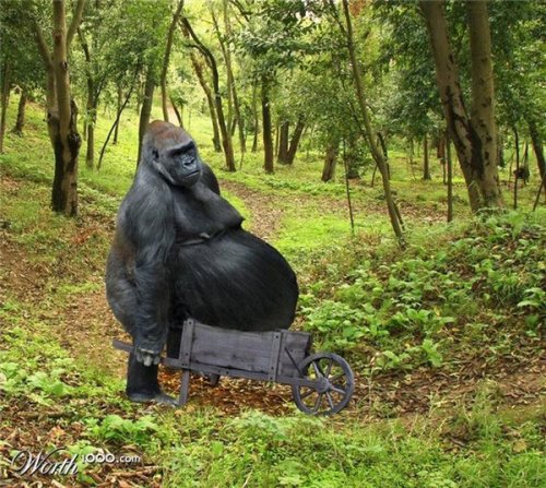 Толстые звери