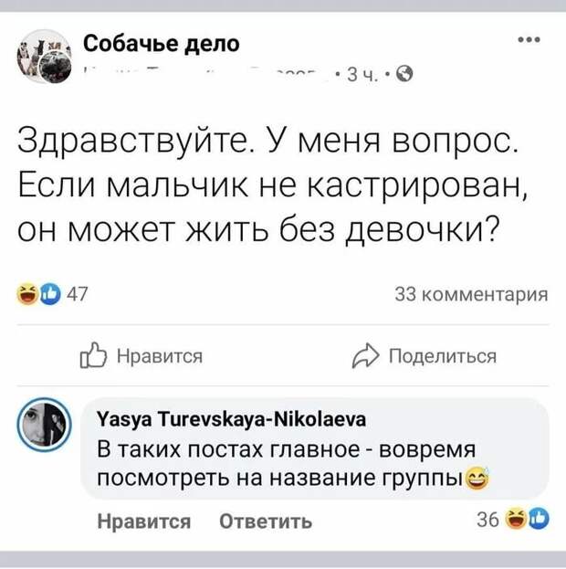 Соцсети отвечают Соцсети отвечают