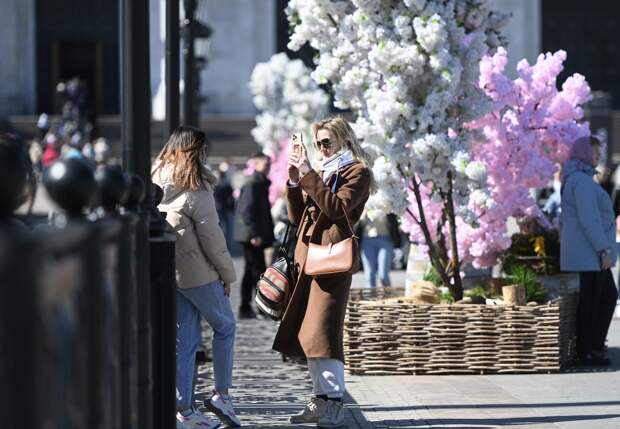 В Петербурге завершилась 40-дневная волна аномального «вечного тепла»