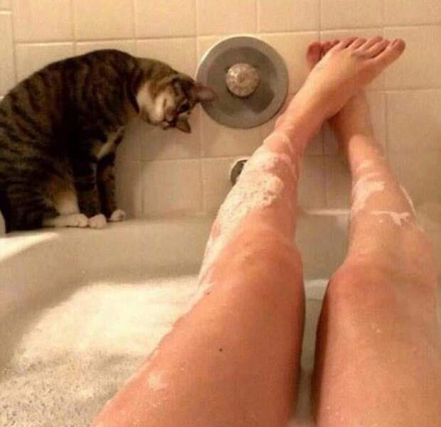 С этими котейками точно не заскучаешь! С этими котейками точно не заскучаешь!