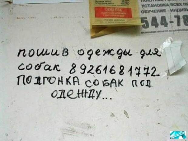 Смешныеобъявления забавное, прикол, юмор