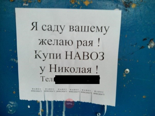 Приколы