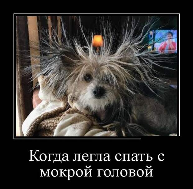 Демотиваторы (30 фото)