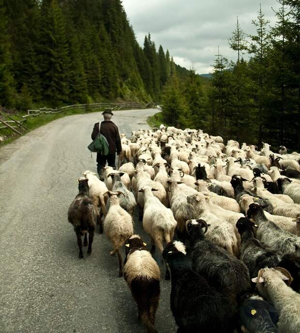 Romania30 50 причин посетить Румынию