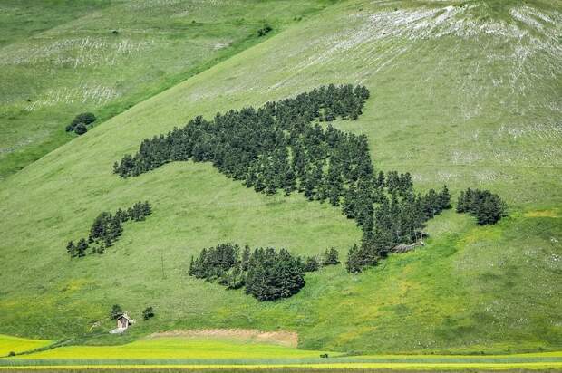 Фотография: Монументы, которые вырабатывают кислород №2 - BigPicture.ru