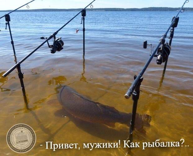 Как рыбалка