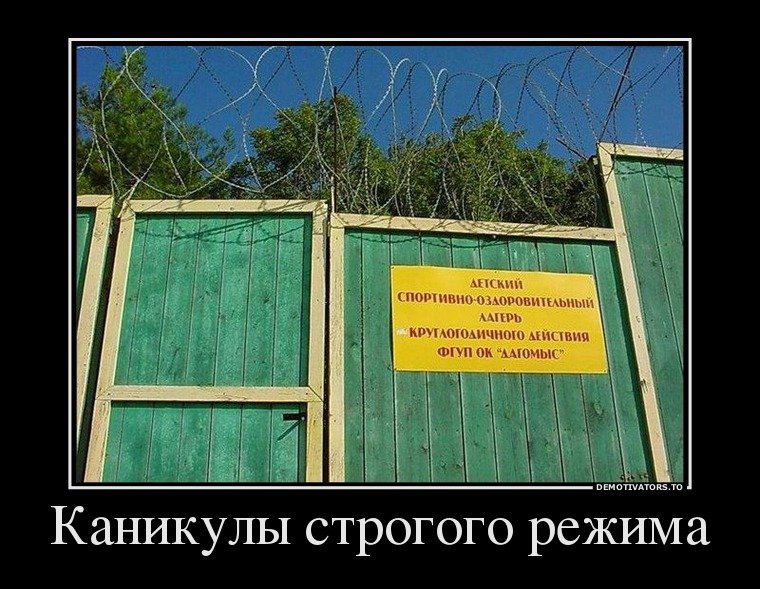 Демотиваторы дня (19 шт)