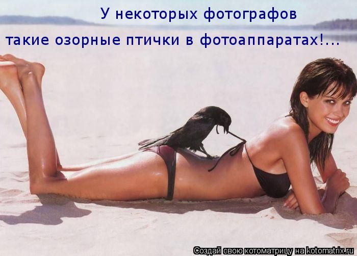 Лучшие котоматрицы недели (50 фото)