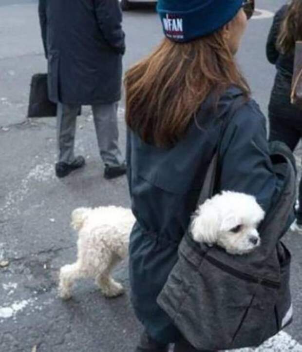 Оказалось, показалось (20 фото)