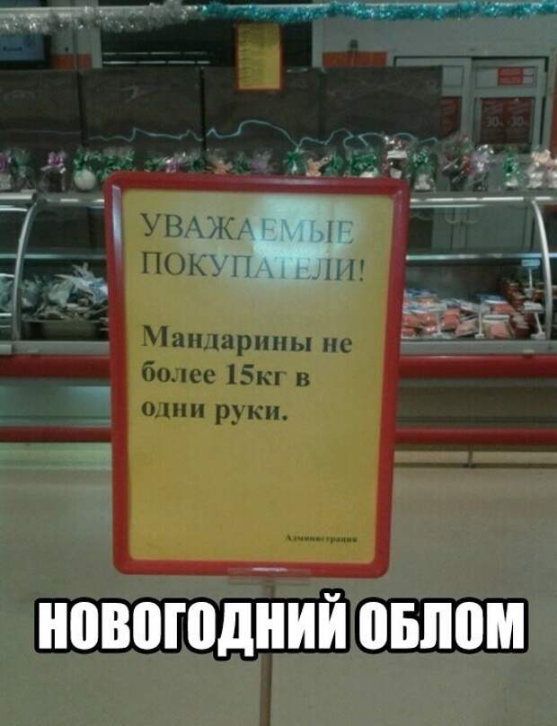 Смешные картинки с надписями прикол, юмор