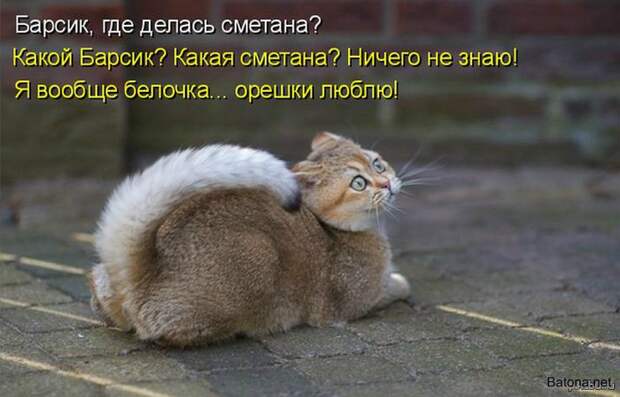 Подборка комиксов и приколов №280 (20 картинок)