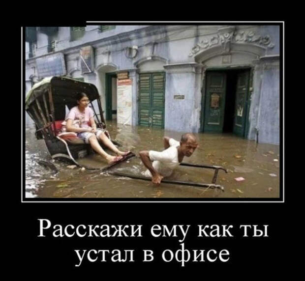 Демотиваторы, смотреть и поднимать настроение