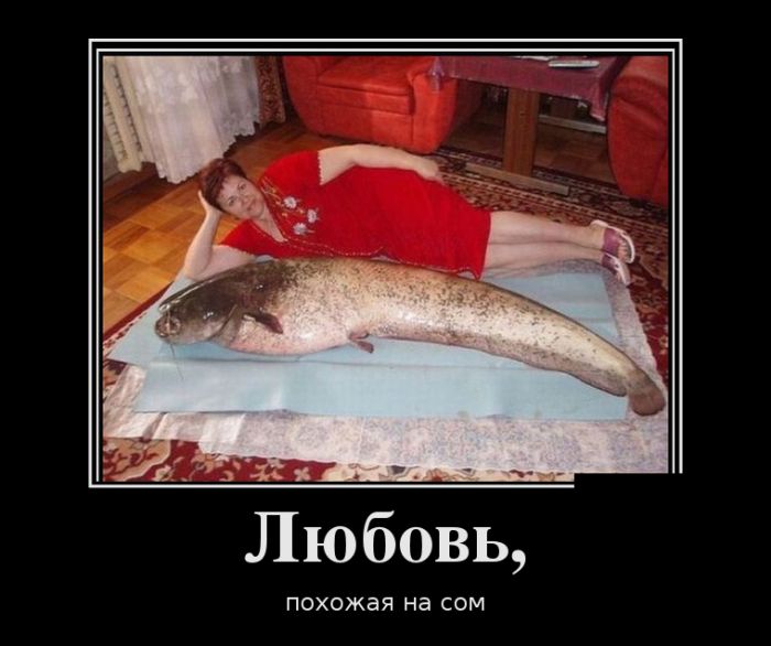 Позитивные и смешные демотиваторы (11 фото)
