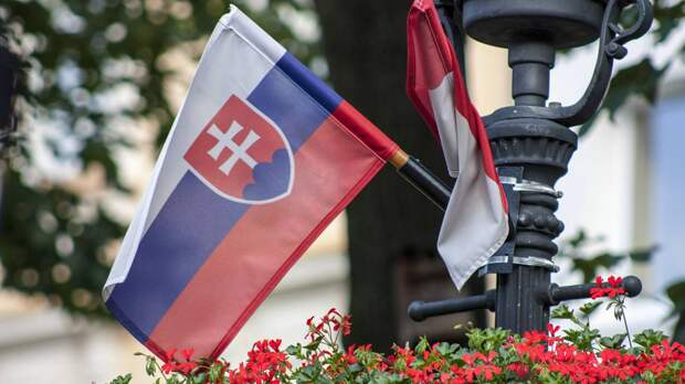 МИД Словакии выразил готовность перейти к открытому диалогу с Россией