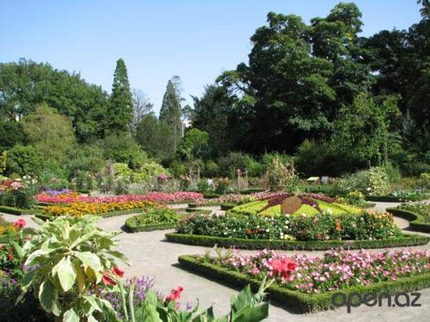 Царство цветов в Ницце — парк Феникс