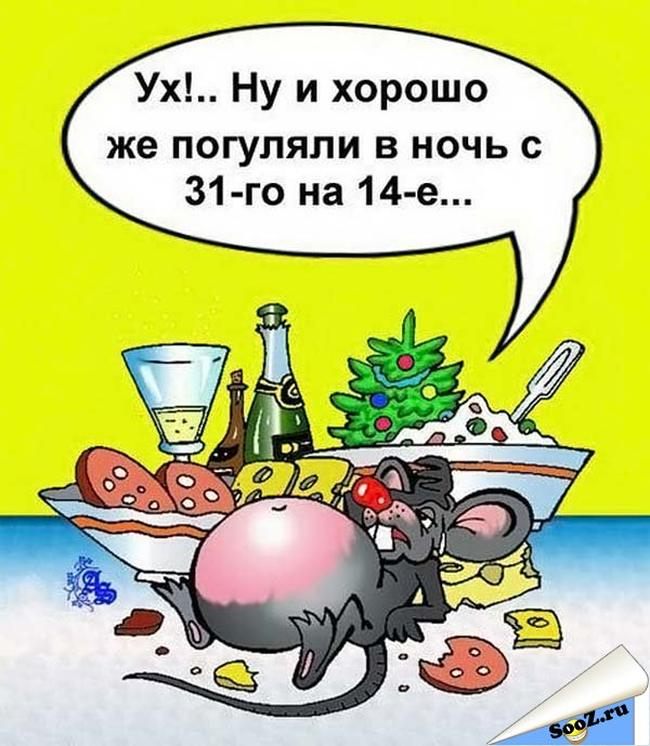 Прикольные смешные картинки про Новый год 2020 Смешные Картинки на Новый Год