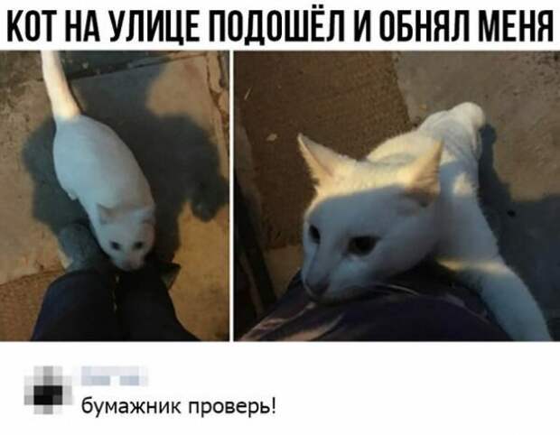 Смешные картинки с надписями Смешные картинки с надписями