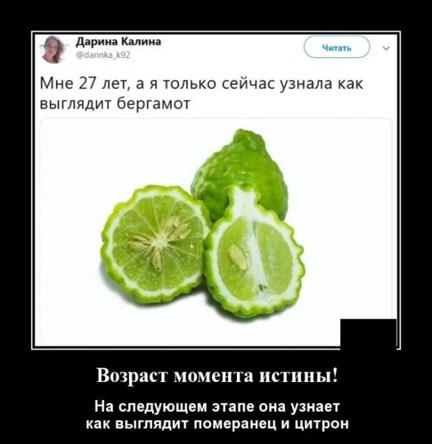 Демотиваторы (20 фото)
