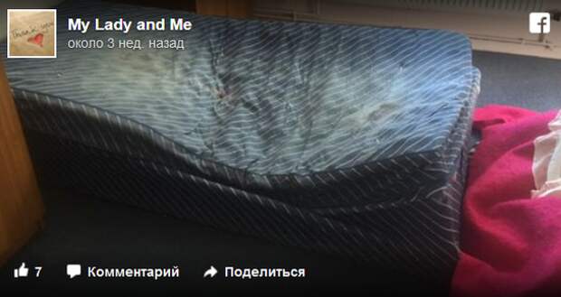 5_result