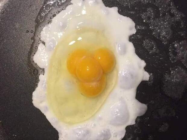 Яйцо с четырьмя желтками