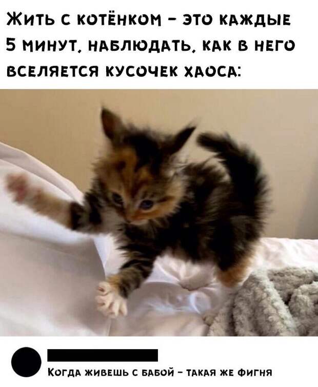 1hbyjwkfv1c.jpg
