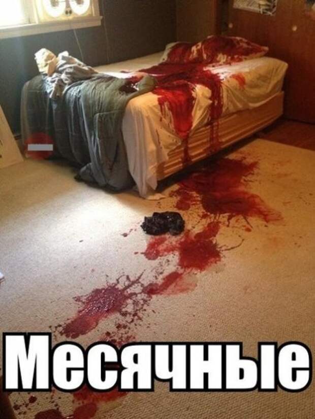 Забей на дождь - смотри приколы.