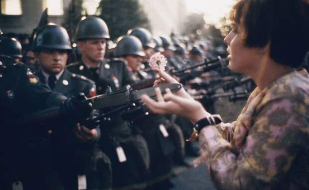 Пацифистка Джейн Роуз Кэсмир с цветком. Пентагон, протест против войны во Вьетнаме, 1967 демонстрации, женщины, кадры, общество, протест, сильные женщины, сильные фотографии, фото