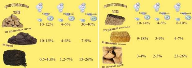 домашняя подкормка комнатных растений