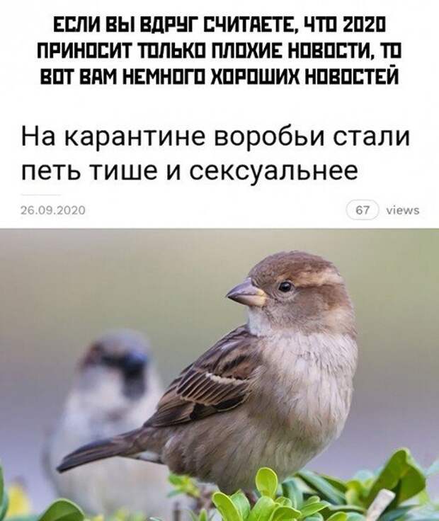 Прикольные и смешные картинки