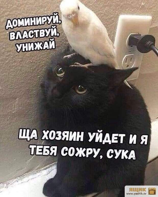 5402287_136361940529344687 (550x688, 61Kb)