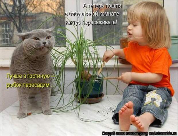 Котоматрицы(картинки с надписями)