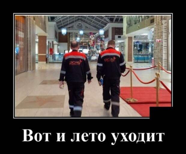 demotivatory-demotivator-smeshnye-demotivatory-demotivator-so-smyslom
