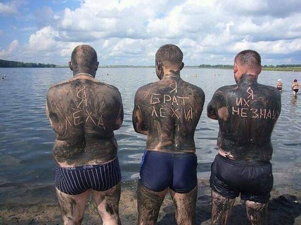 Прикольные картинки