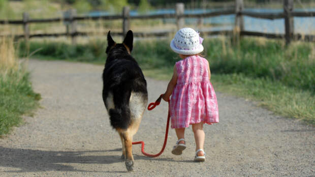 Если ребенку нет 14 лет, он не может выгуливать собаку без взрослых / Фото: pravda.vn.ua