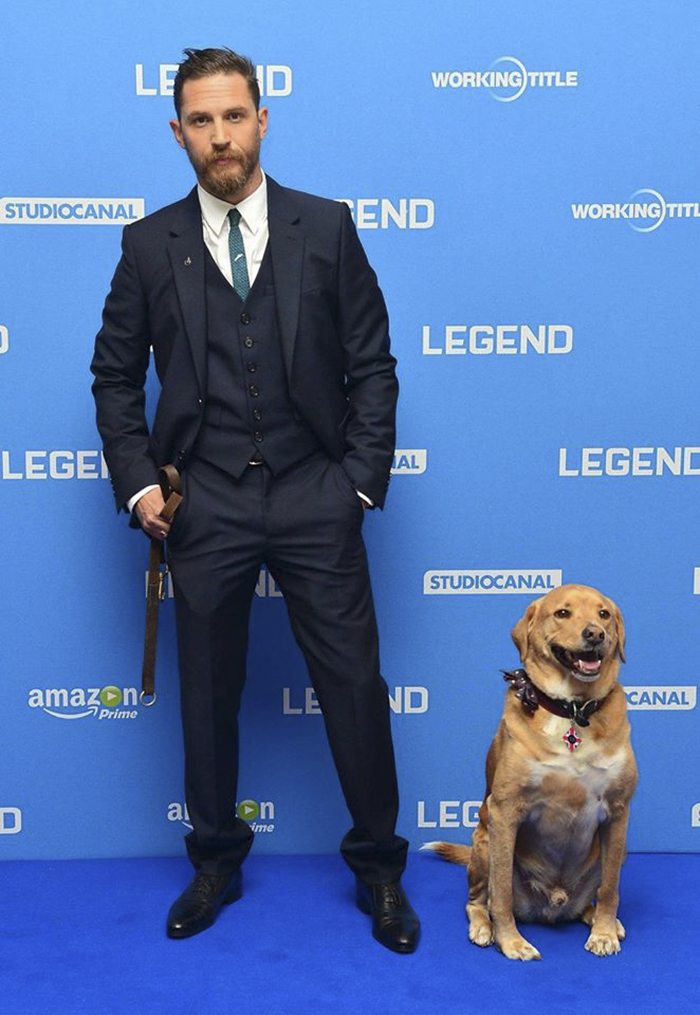 https://sobakibalabaki.com/wp-content/uploads/2017/09/love-for-dogs-tom-hardy-59bf774005689__700.jpg