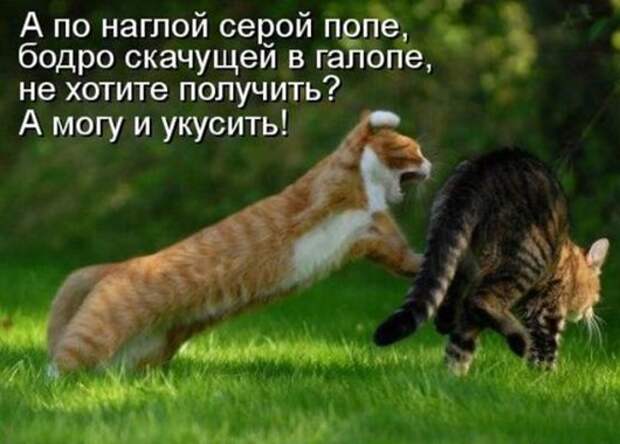 43548492552567dbdd1133f83c0_prev