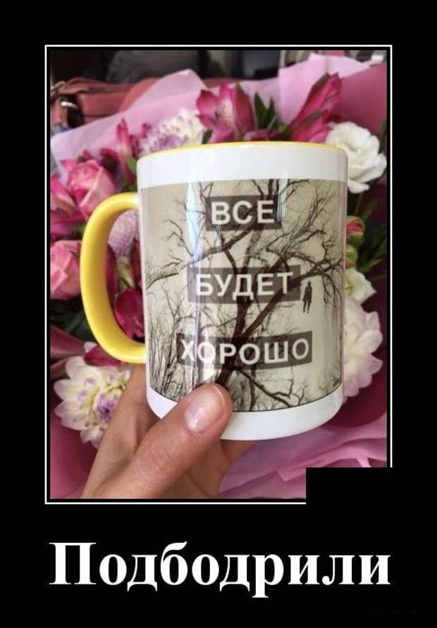Демотиваторы