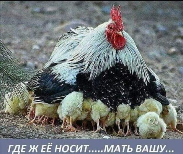 Загуляла ) Загуляла )