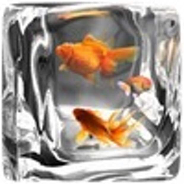 fish-in-ice.jpg