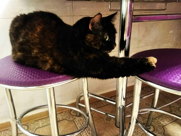 FfxidHK6VXI (700x525, 349Kb)