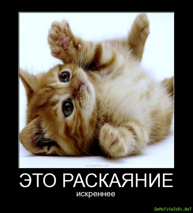 280b1237cb96139feaa49b39d84aaf1c