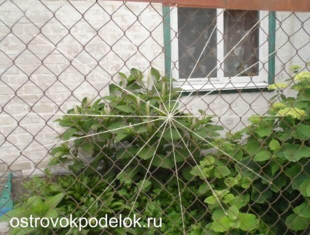 SAM_0766