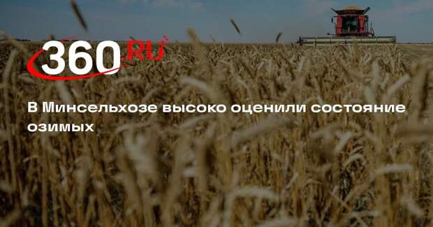 В Минсельхозе высоко оценили состояние озимых