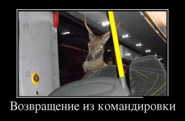 Демотиваторы (30 фото)