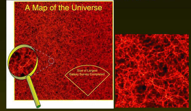Астрономы уверены: Вселенная имеет ячеистую структуру, словно живая ткань