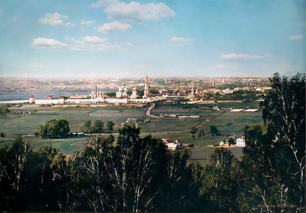 Лужники