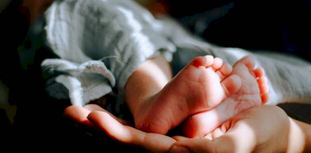 Володин заявил, что в начале декабря иностранцам запретят пользоваться услугами суррогатного материнства