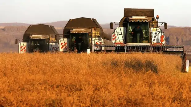 В Адыгее направят 555,3 млн рублей на господдержку аграриев