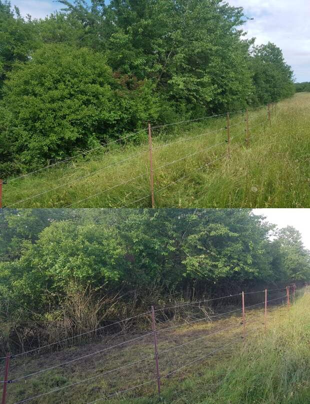 Любопытно: "Что будет, если..."