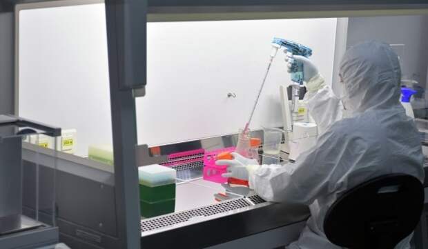 Ученые МГУ с коллегами усовершенствуют вакцину от энцефалита